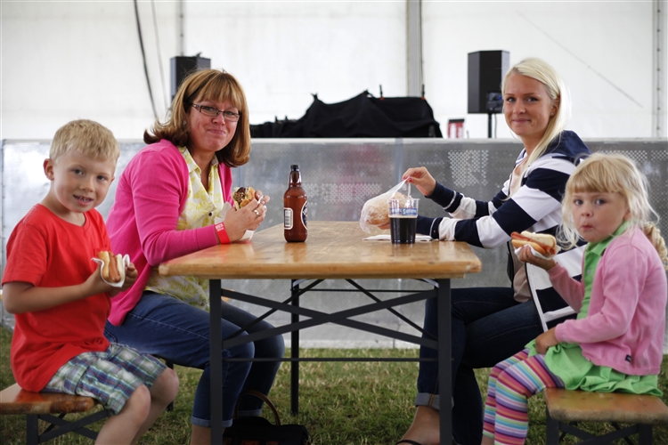 SommarRock Svedala - Lördag - 2014 - Publik