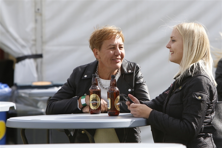 SommarRock Svedala - Fredag - 2015 - Publik